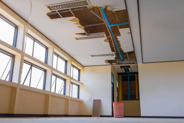 Reliable Dunean, SC Water damage restoration Solutions