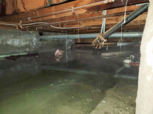 Water damage restoration experts in Dunean, SC