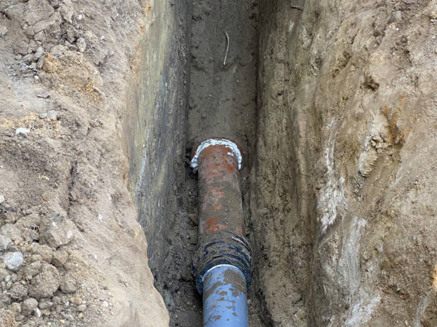 Best Basement water damage restoration  in Dunean, SC