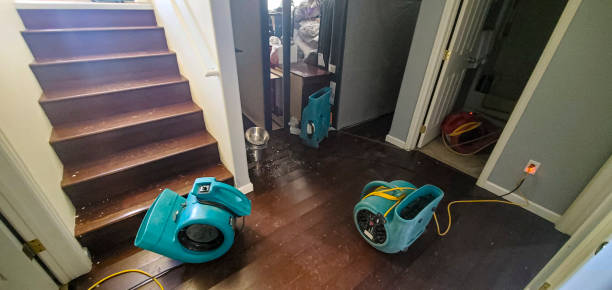 Water damage restoration insurance claims in Dunean, SC