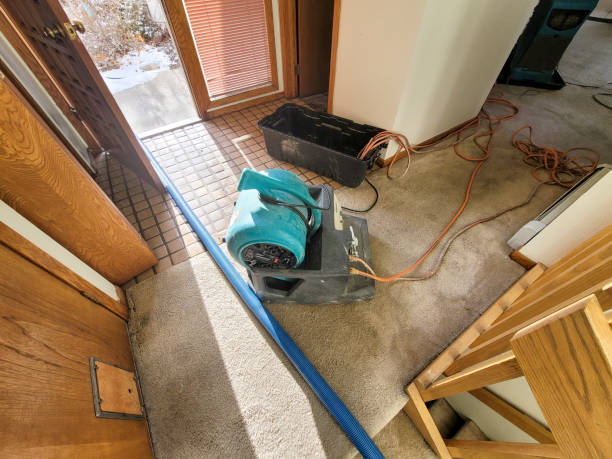 Best Flooded house restoration  in Dunean, SC
