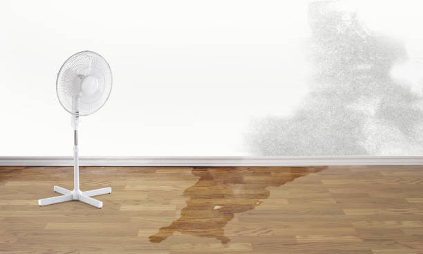 Best Commercial water damage restoration  in Dunean, SC