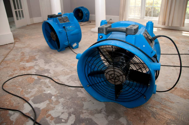 Best Water damage cleanup near me  in Dunean, SC