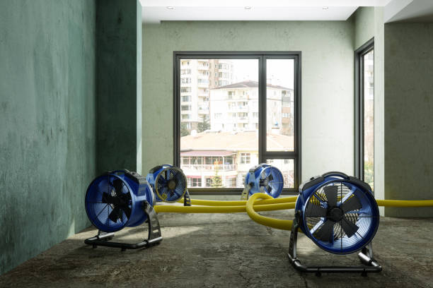 Best Fire Damage Restoration  in Dunean, SC